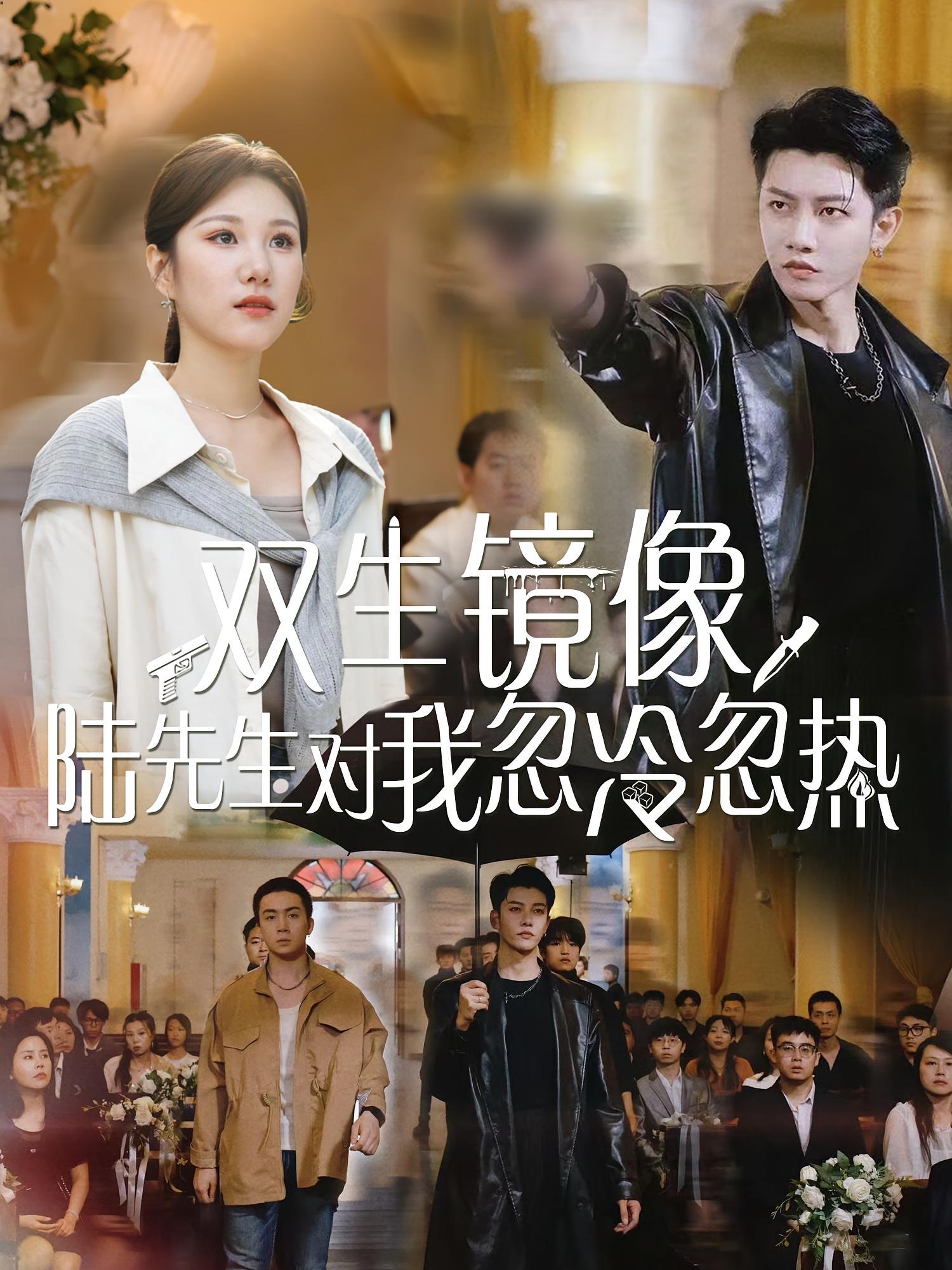 双生镜像陆先生对我忽冷忽热(全集)