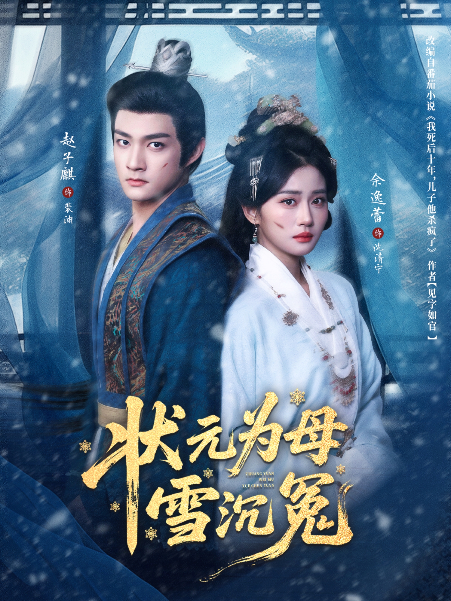 状元为母雪沉冤第20集