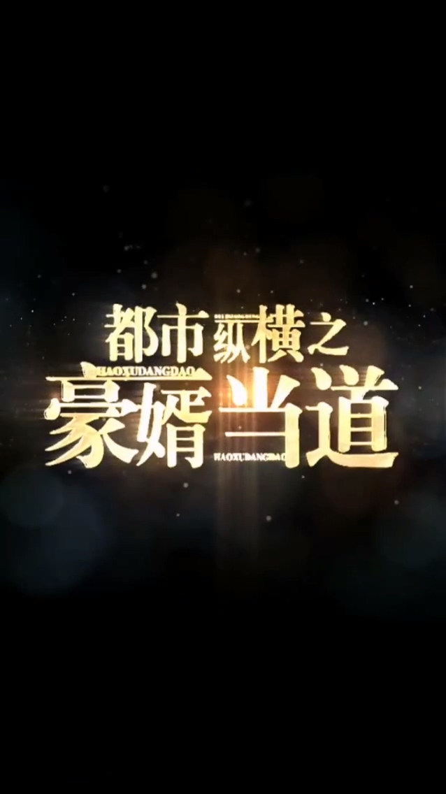 都市纵横之豪婿当道第03集