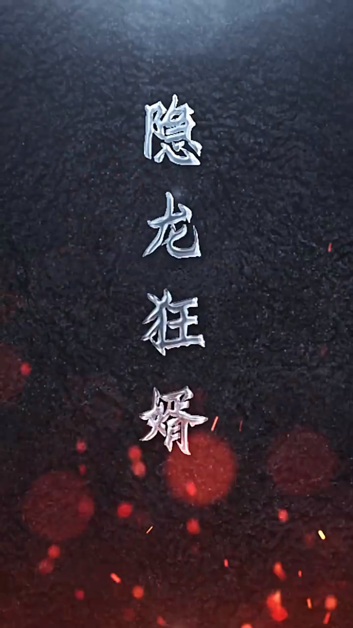 隐龙狂婿第02集