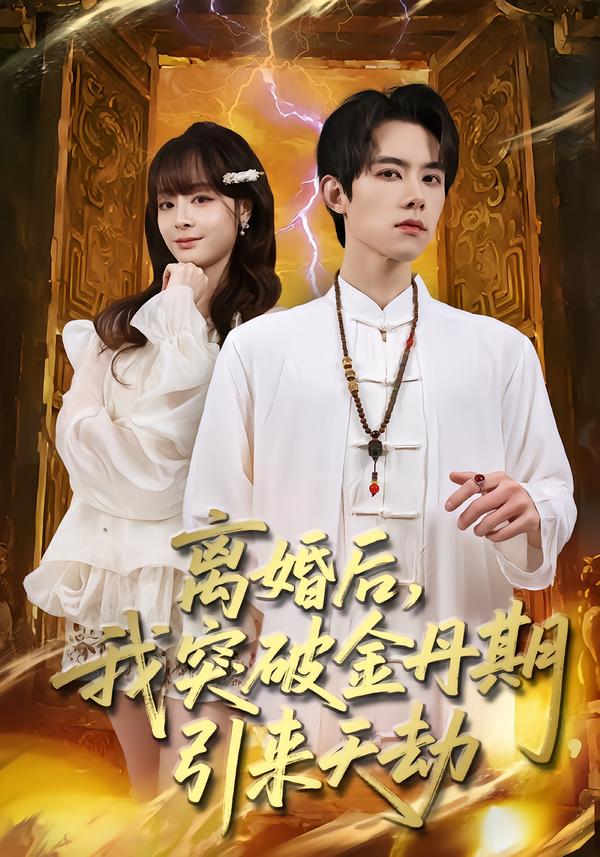 离婚后，我突破金丹期，引来天劫(全集)
