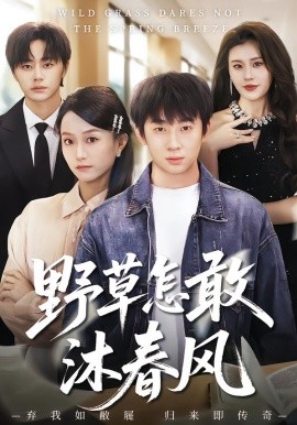野草怎敢沐春风(全集)