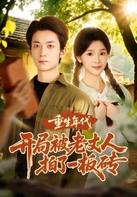 重生年代开局被老丈人拍了一板砖(全集)